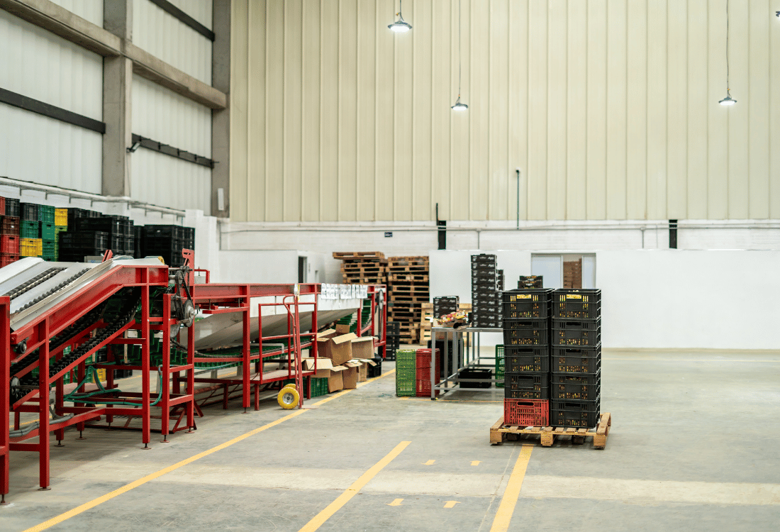 Food warehouse floor demarcation to organise crates and machinery.